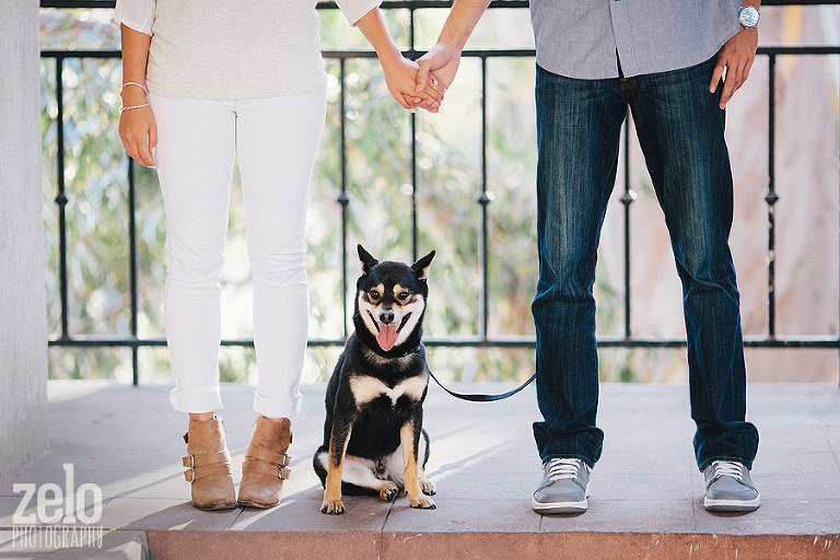 shiba-inu-puppy-photos-engagement-session-san-diego-zelo-photography