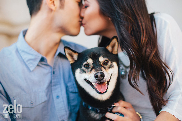 man-and-woman-kissing-shiba-inu-puppy-photos-bronx