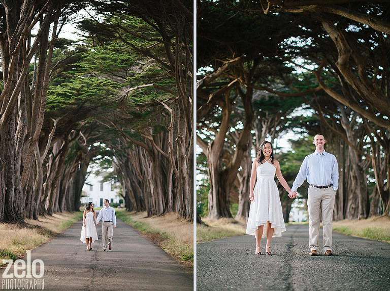 bay-area-cypress-trees-engagement-photos-zelo-photography
