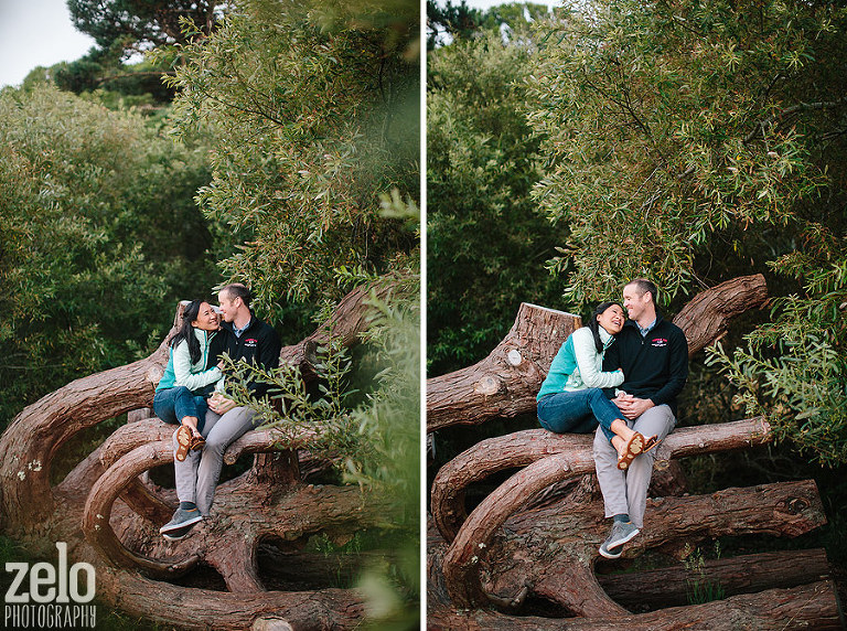 giant-fallen-tree-cute-photo-session-zelo-photography