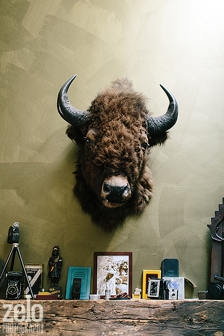 buffalo-head-taxidermy-vintage-mid-century-ranch-home