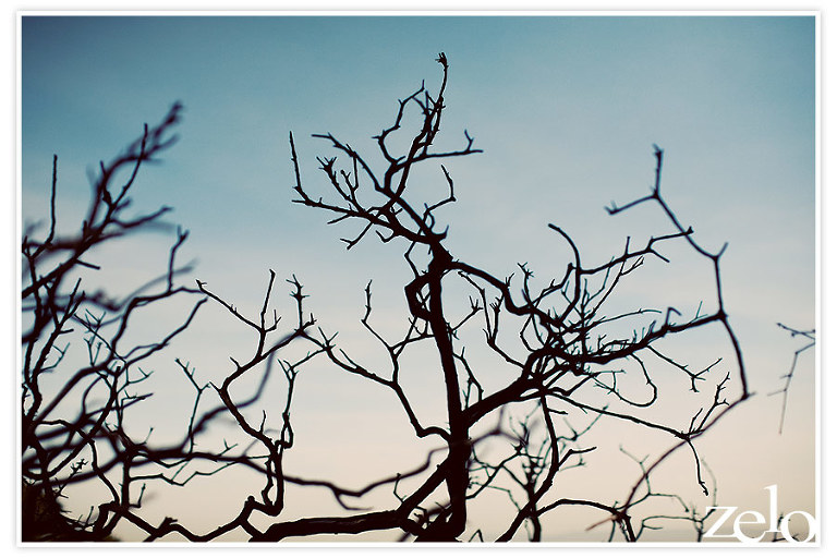 nature-engagement-session-outdoor-wedding-photographer