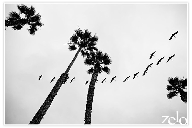 la-jolla-san-diego-wedding-photographer