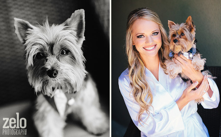 bride-and-her-puppy-bridal-yorkie